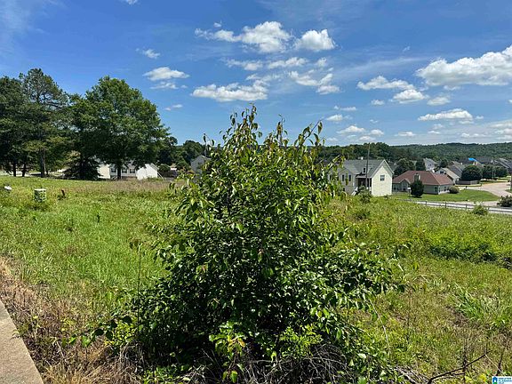 2nd image of 80 Canaan Cir #6