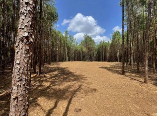 LOT 2 E Fm 942, Livingston, TX 77351