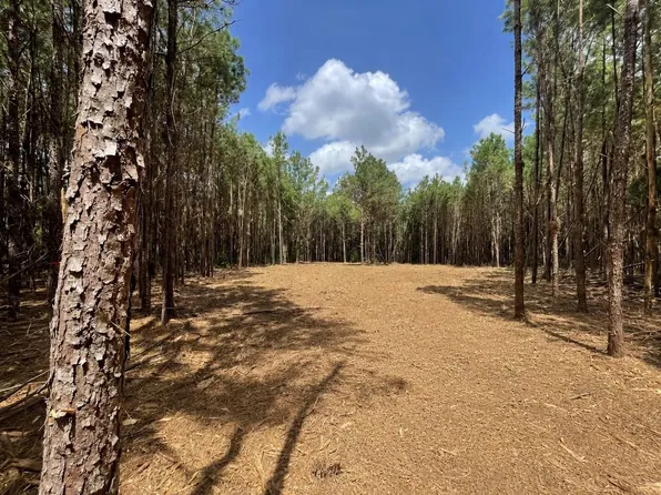 LOT 2 E Fm 942, Livingston, TX 77351