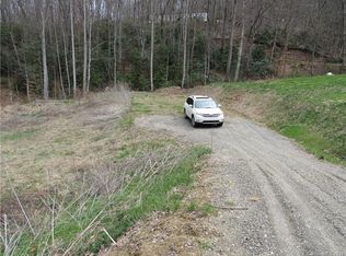 99999 Pinnacle Mountain Rd, Leicester, NC 28748