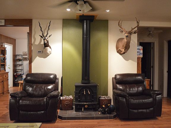 Wood-Burning Stove in LR