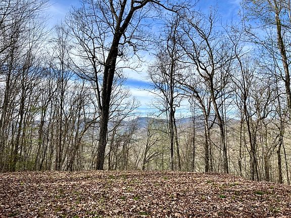 5th image of Lyle Mountain Trl Lot Wp053