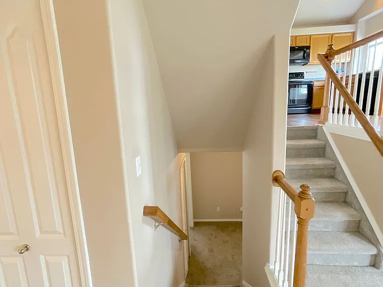 9180 Red Columbine Dr — Photo 29