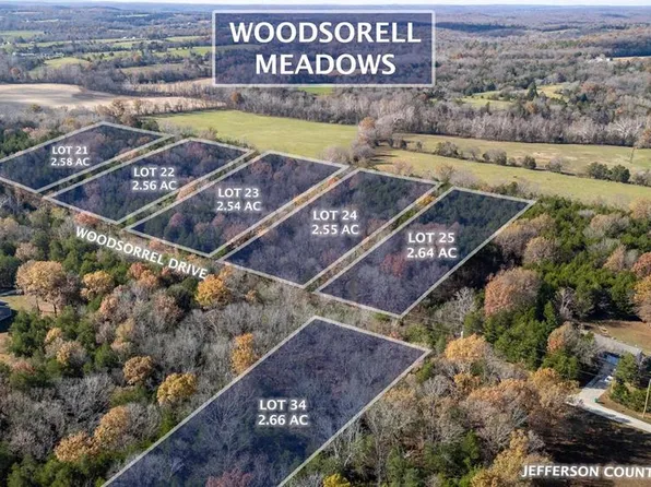 449 Woodsorrel Dr, Hillsboro, MO 63050