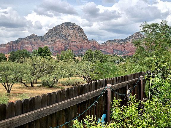 View from backyard