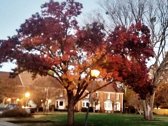 Views of FALL from balcony