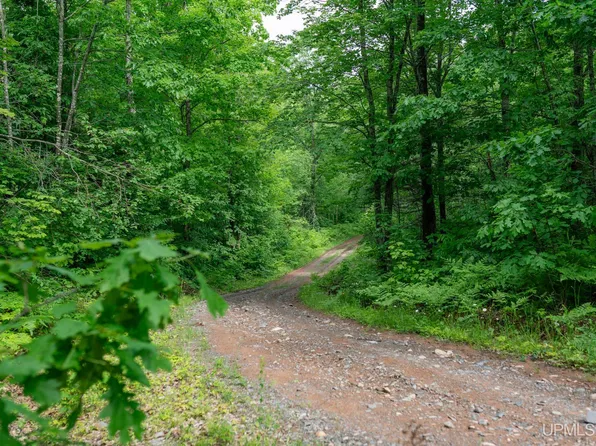 TBD County Rd CU Road, Ishpeming, MI 49849