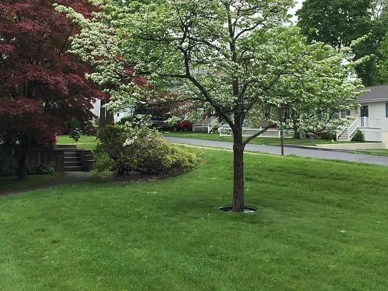 3 Seneca Ave — Photo 22