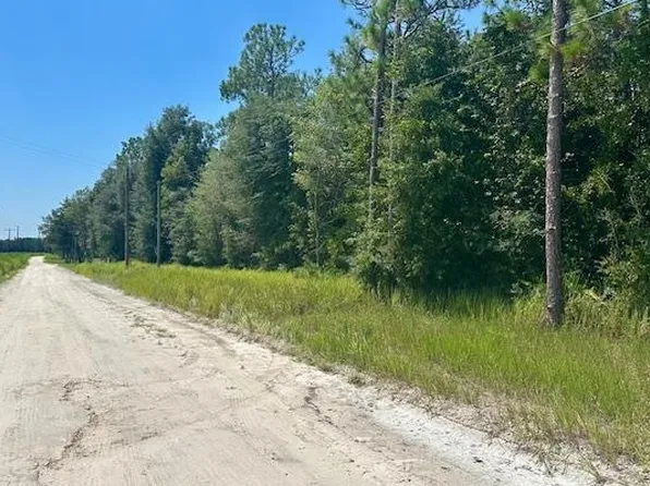 5919 NW 10th Ave, Bell, FL 32619