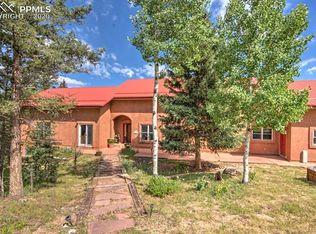153 Moss Rock Ct, Divide, CO 80814