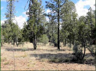 2864 Angel Trl, Overgaard, AZ 85933