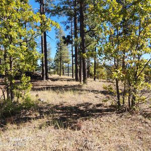 1564 W Lower Coconino Ave, Flagstaff, AZ, 86001