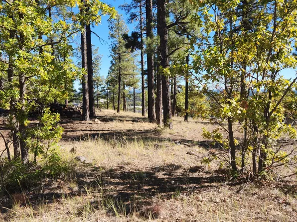 1564 W Lower Coconino Ave, Flagstaff, AZ 86001