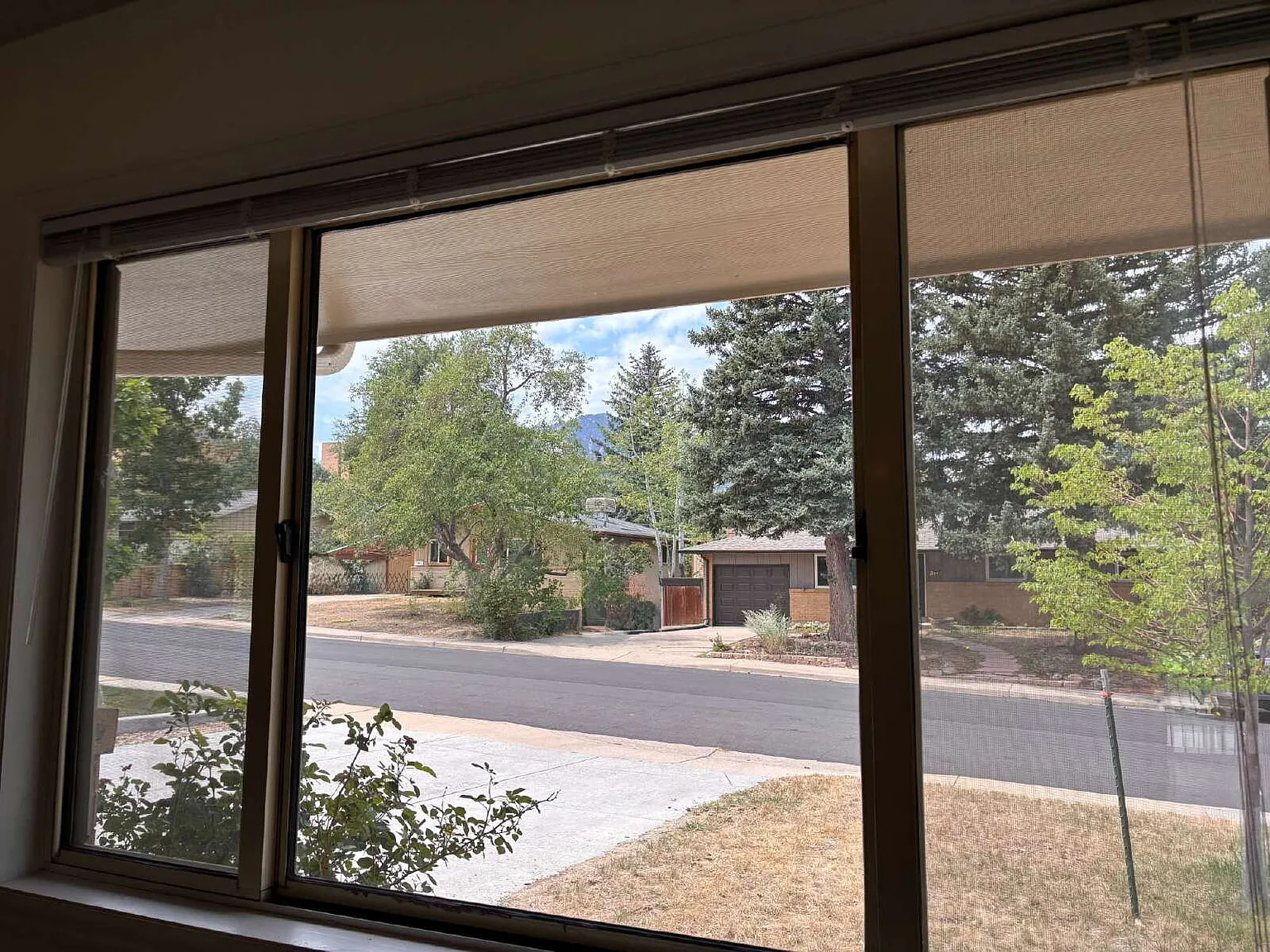 3 bed, 1.0 bath, 1000 sqft, $3,000 — Photo 4