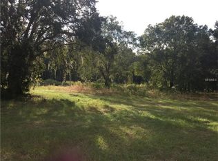8906 Woodleaf Blvd, Wesley Chapel, FL 33544