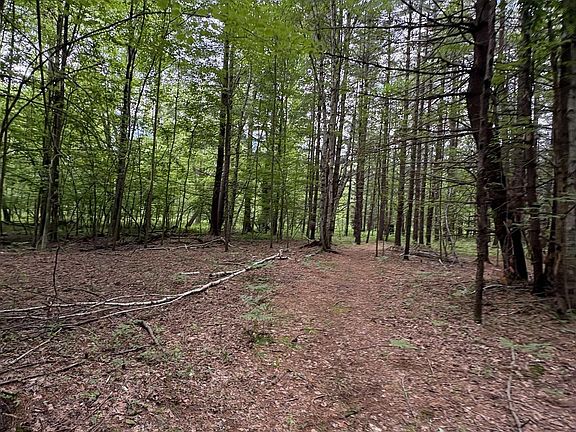 3rd image of 3680 Wieman Rd