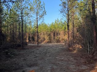 Pat Hickman Rd, Perkinston, MS 39573