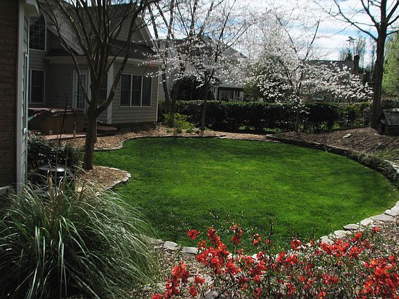 Our park-like backyard