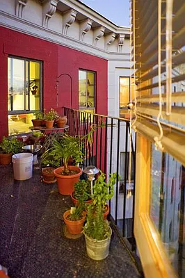 Sold by Fillmore | media 22