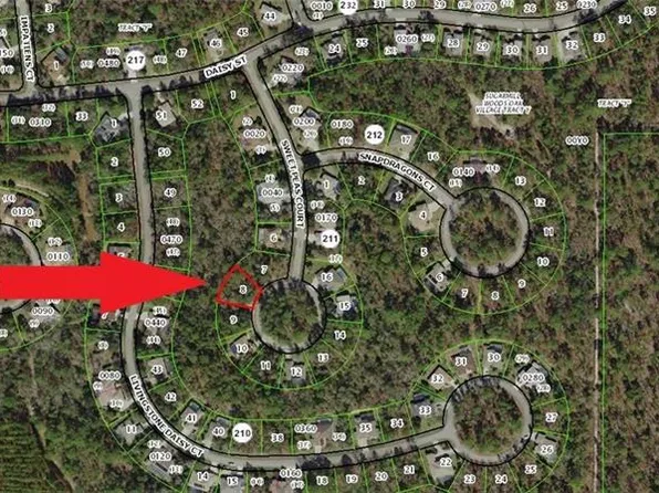 16 Sweet Peas Ct, Homosassa, FL 34446