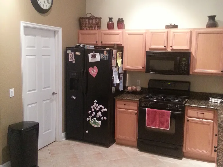 12502 Sparkleberry Rd — Photo 11