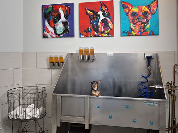 Screen Shot 2019-04-30 at 8.31.46 AM