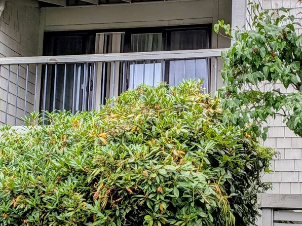 22717 Lakeview Dr APT A10, Mountlake Terrace, WA 98043