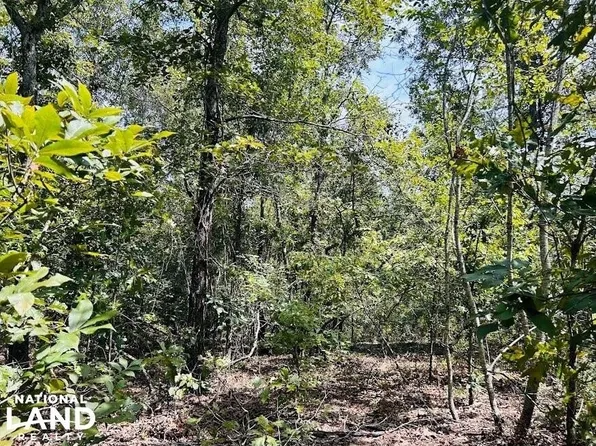 0 Hicks Rd, Reynolds, GA 31076