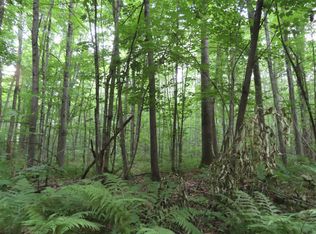 Easement Ln #11, Laona, WI 54541