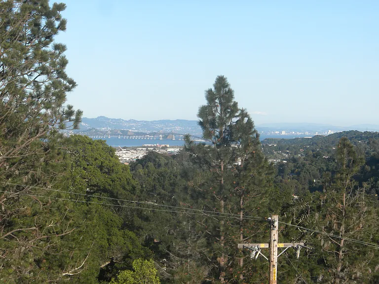 Sequoia Dr — Photo 2