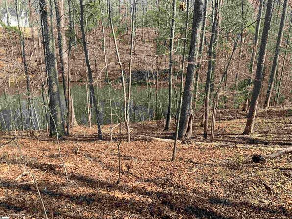 0 Wicklow Rd, Campobello, SC 29322