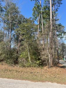 LOT 15 Op La Way Lot 15, Diamondhead, MS, 39525