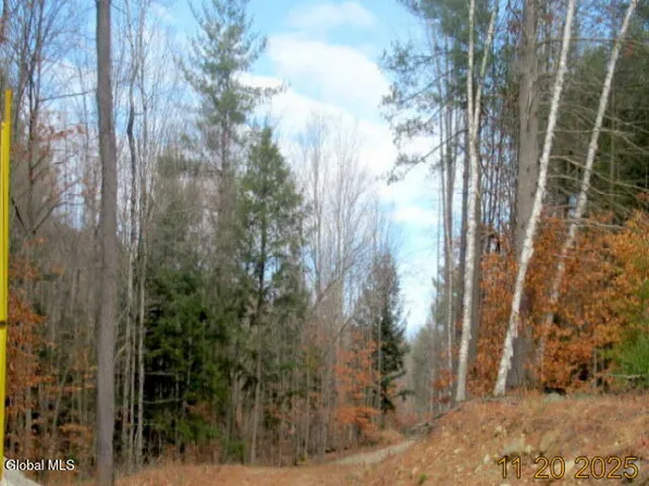 12 Birch Mountain Way, Thurman, NY 12885