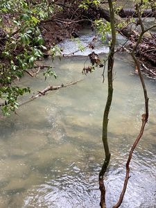 13 Thomas Springs Rd Lot 13, Crossville, TN, 38572