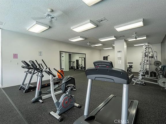 Gym - Cardio
