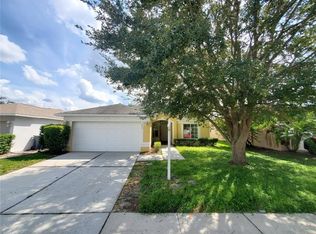 1429 Birchstone Ave, Brandon, FL 33511