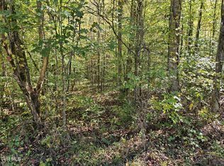0 Cave Springs Rd, Rogersville, TN 37857