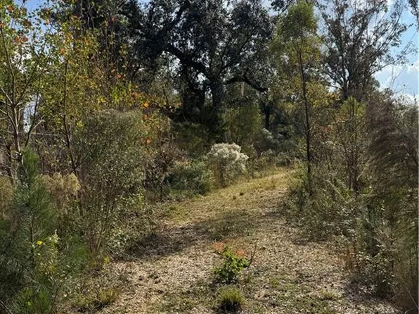 Patterson Rd, Springfield, LA 70462