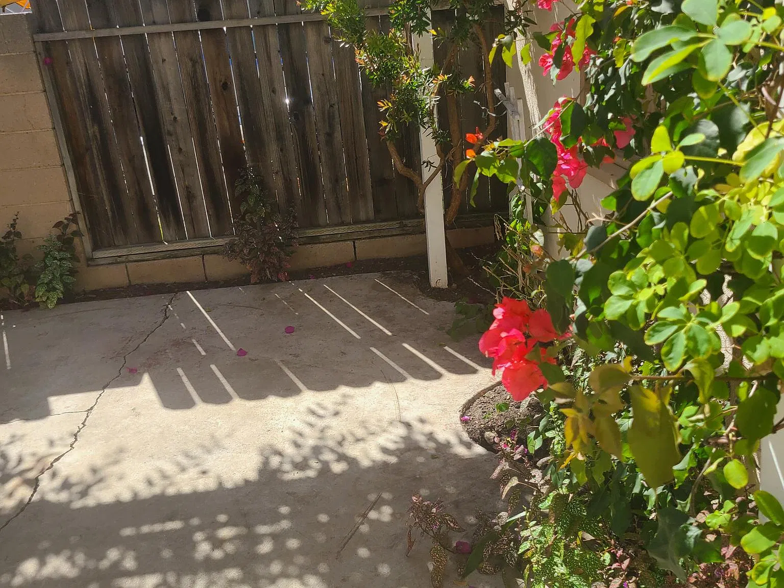 3 bed, 675 sqft, $1,995 — Photo 4