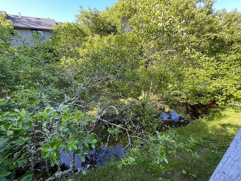 2333 Westwood Ct #C — Photo 14