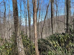 3 Ogden Dr, Waynesville, NC 28786