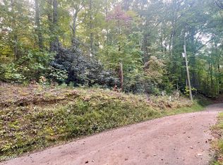 LOT 2 Carter Plz, Gatlinburg, TN 37738