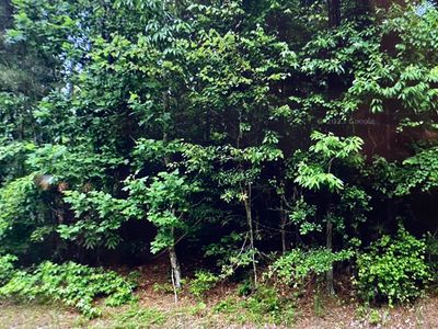 503 Mill Pond Rd, Newborn, GA, 30056