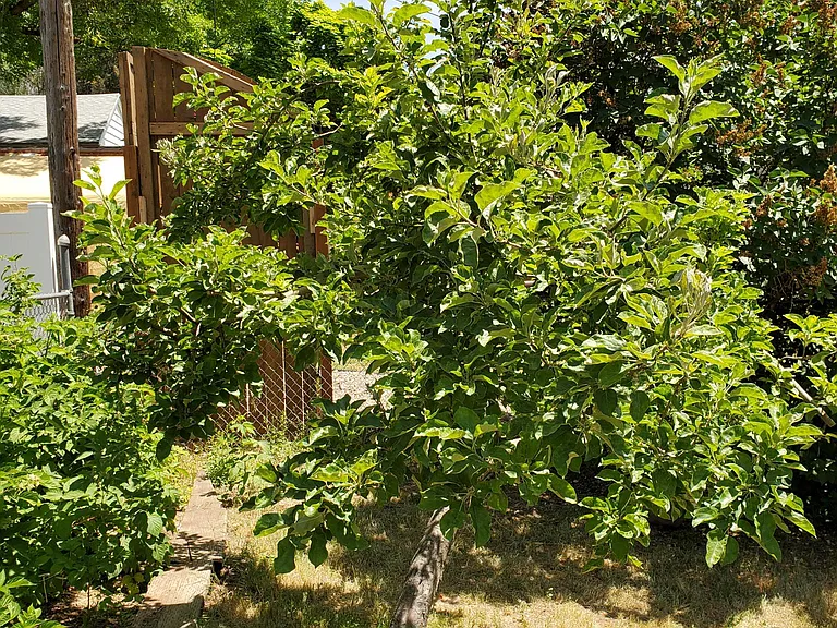 165 N 850 E — Photo 34