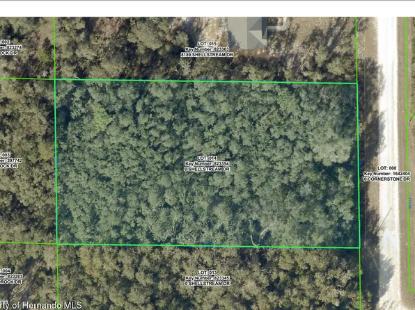 8179 Shellstream Dr, Webster, FL 33597