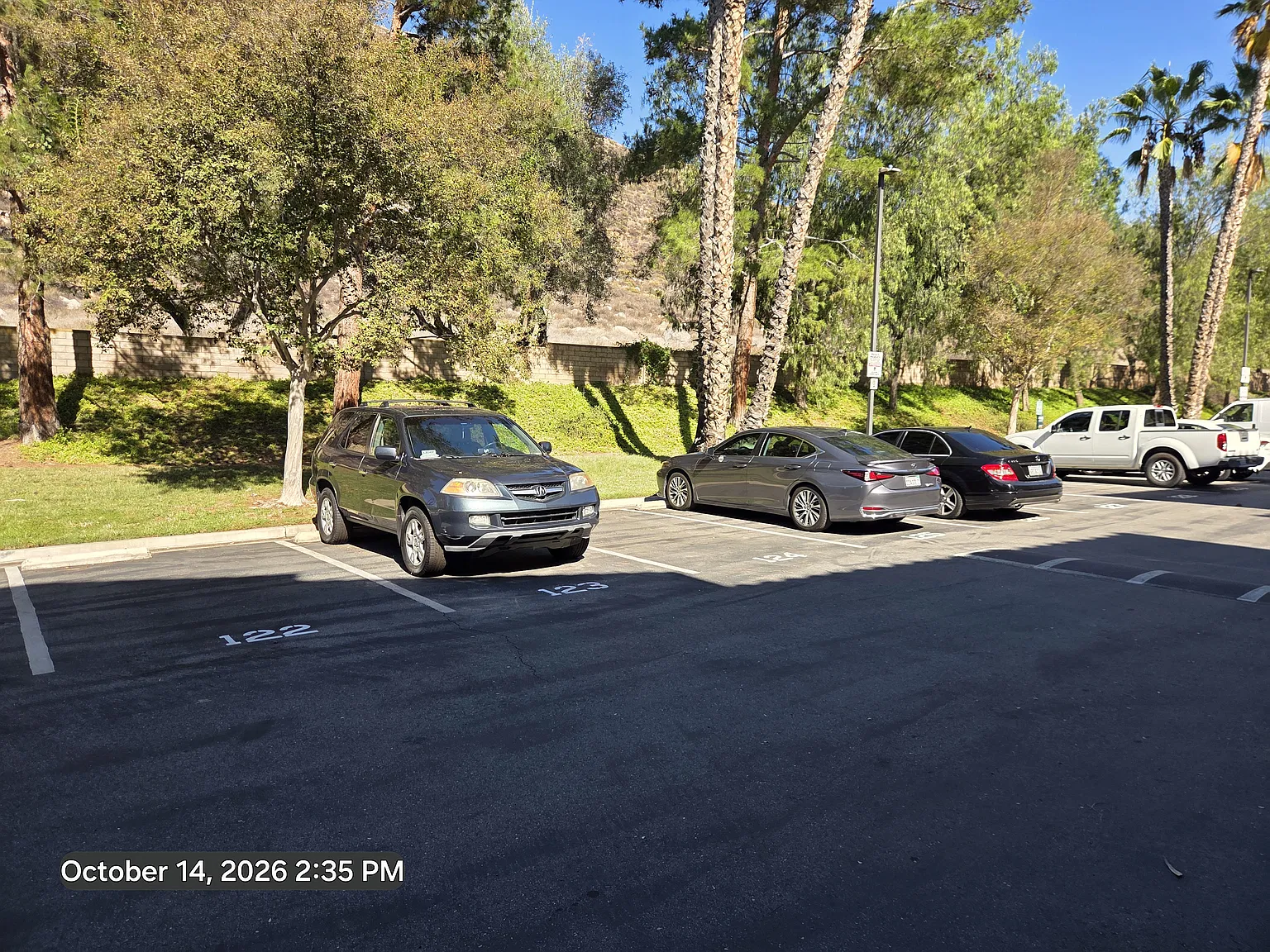 2 bed, 1371 sqft, $2,695 — Photo 3