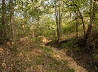 438 Firefly Field Ln, Seguin, TX 78155