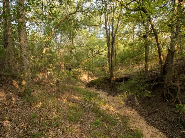 438 Firefly Field Ln, Seguin, TX 78155