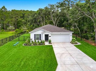 50 Bay Rd, Ocklawaha, FL 32179