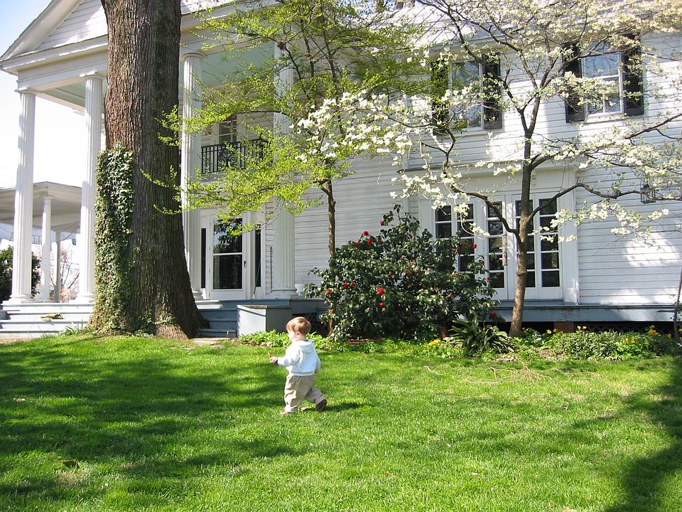 Alcova, Spring 2005